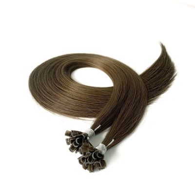 100% Mensenhaar U Tip Haar Recht Muti-Kleur Russisch Haar Extensies