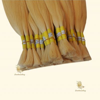 Aanpassing 100g Straight Russisch Lichtkleurig Haar Bulk Package Bruto Gewicht van 0,400kg