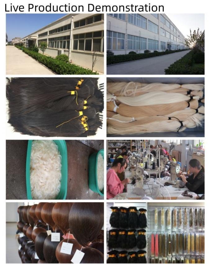 Clip in Hairpiece Monofilament Topper Highlight Hand Tied 3X6.5′ Mono Base Topper